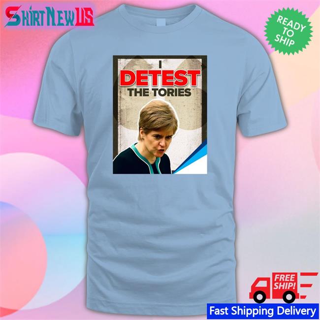 Detest The Tories Hooded Sweatshirt