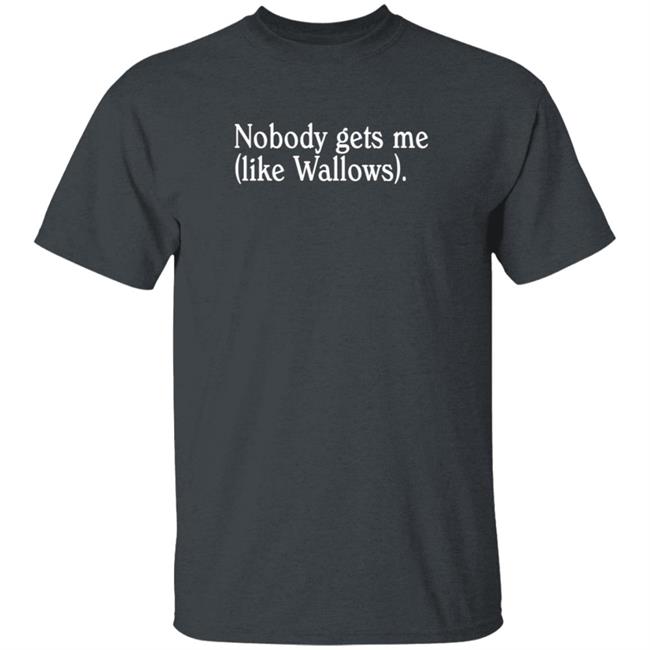 Wallows Merch Nobody Gets Me T Shirt
